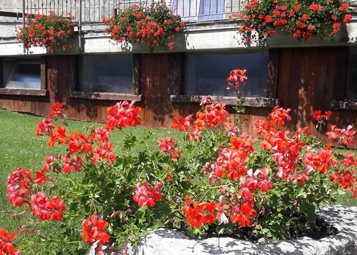 La Magia Dei Colori Affittacamere